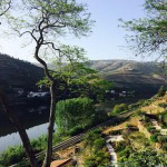 Douro dalen öster om Porto
