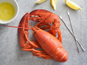 H2_Cook_Lobster_Beauty_1